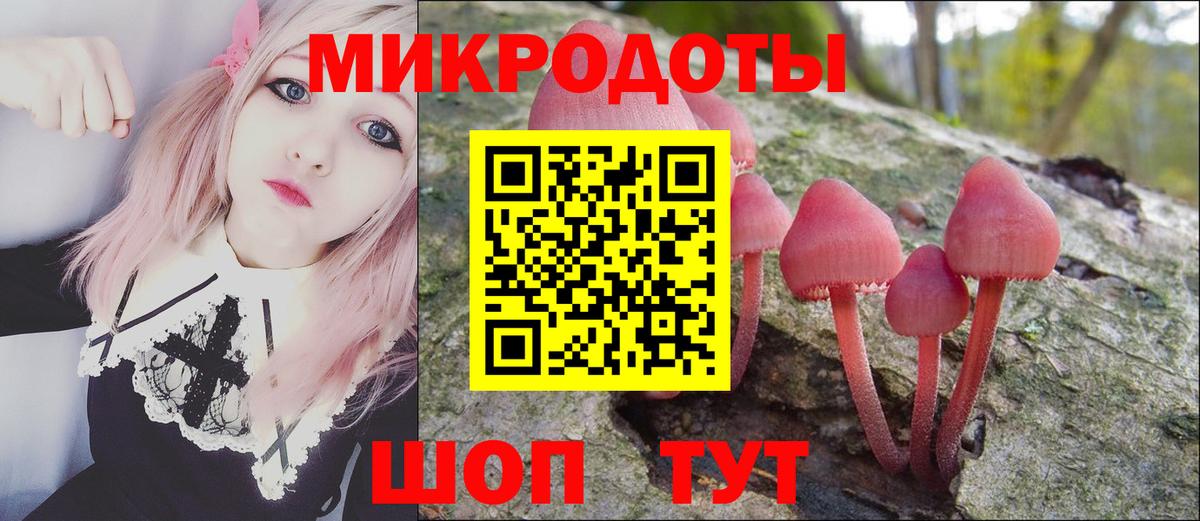 Губкин  Галлюциногенные грибы прущие грибы  Вход с VPN 